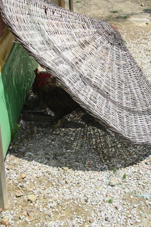 Zumrut Bahce Motel Gökçedere Dış mekan fotoğraf